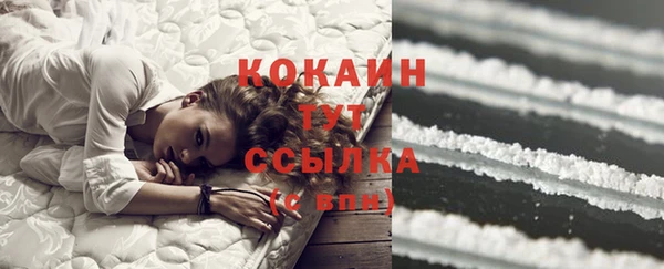 MESCALINE Горняк