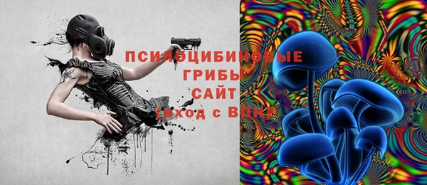 шишки Горнозаводск