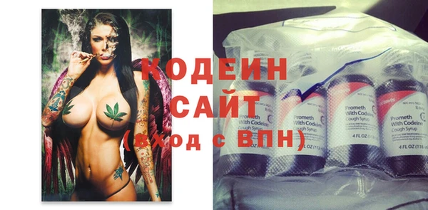 шишки Горнозаводск
