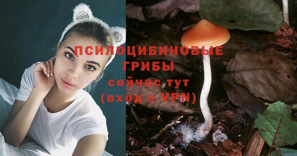 шишки Горнозаводск