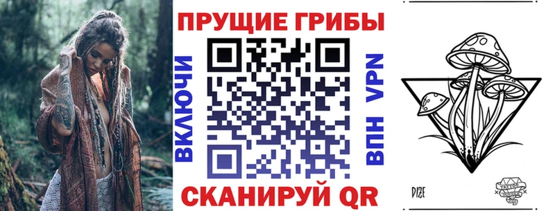 Галлюциногенные грибы Psilocybe  купить закладку  Ногинск 