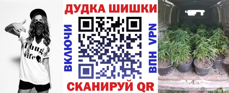 Каннабис VHQ  купить закладку  Ногинск 